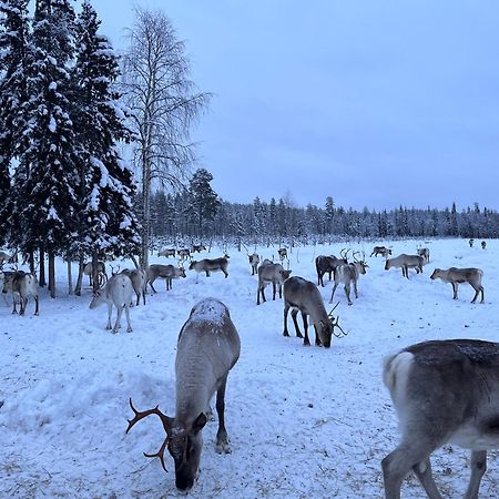 Kenttaeniemi Cottages Sonka Екстер'єр фото